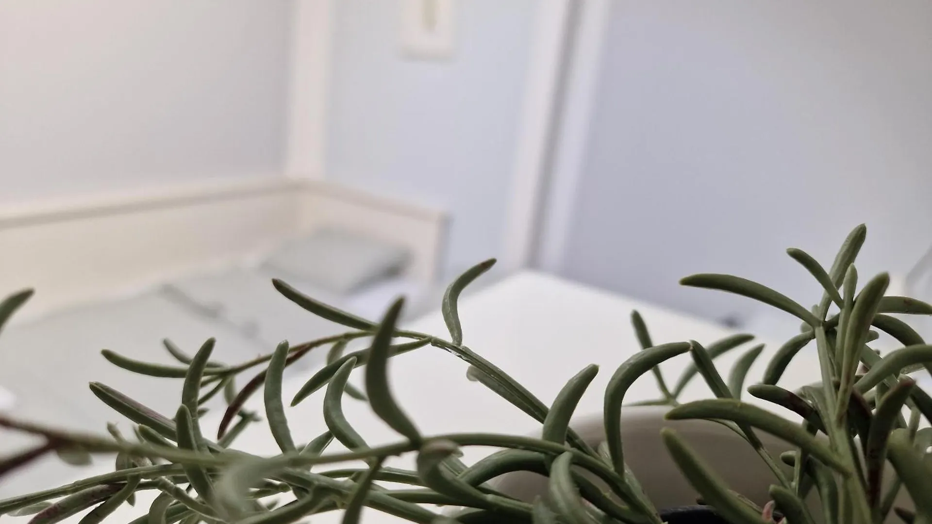 Nestinghigh Apartment كراكوفيا بولندا